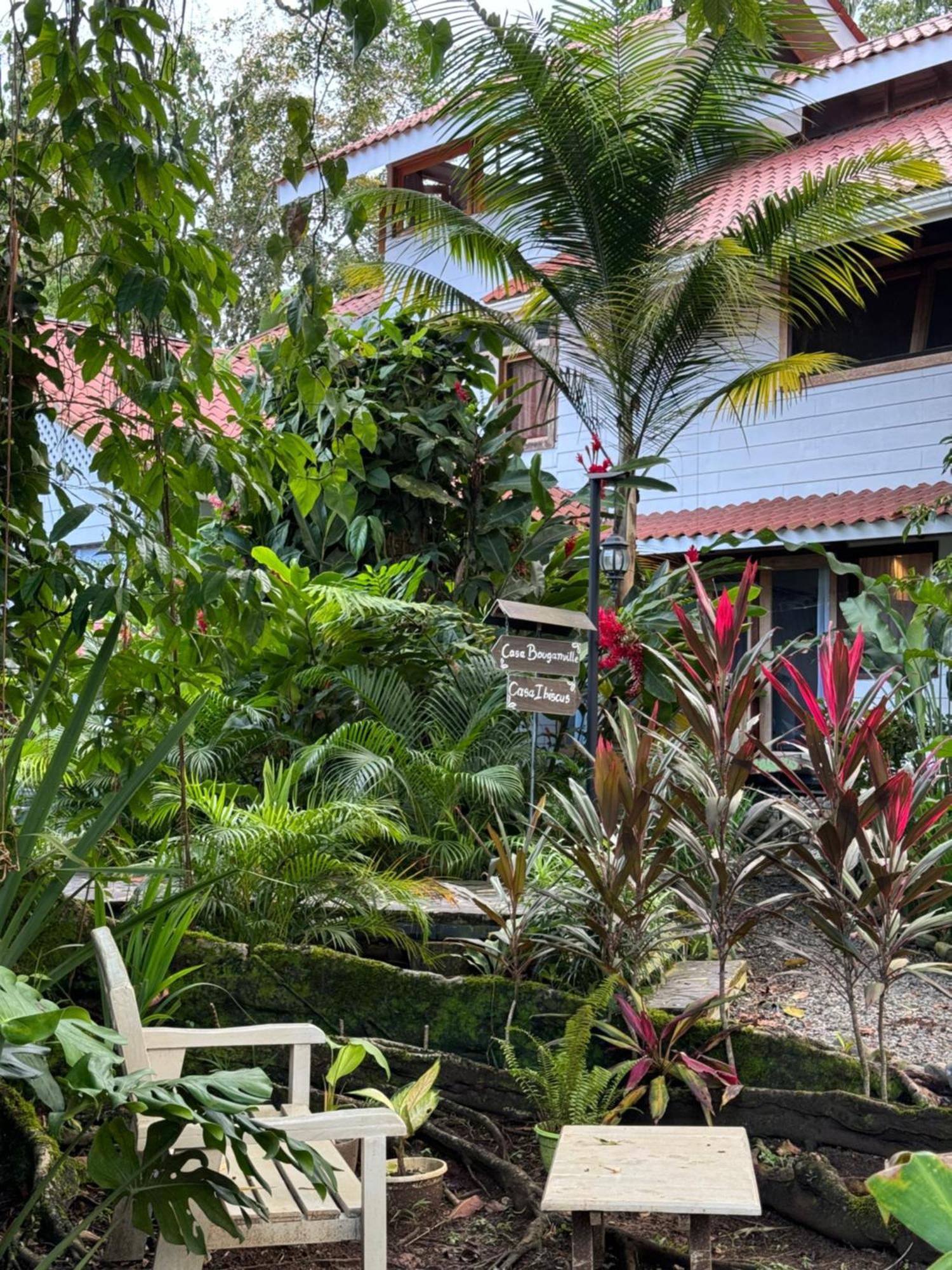 Chilamate Holiday House Puerto Viejo de Talamanca ภายนอก รูปภาพ
