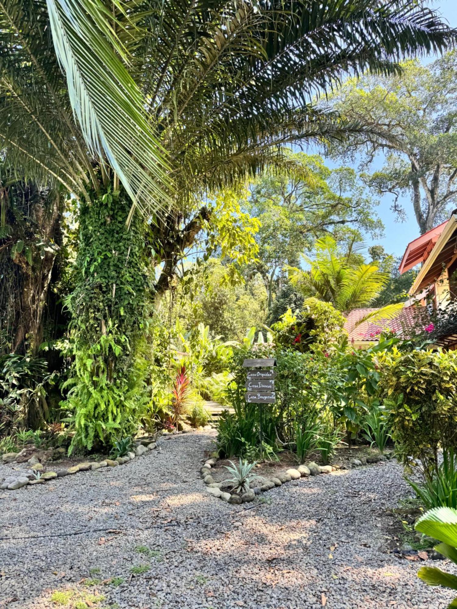 Chilamate Holiday House Puerto Viejo de Talamanca ภายนอก รูปภาพ
