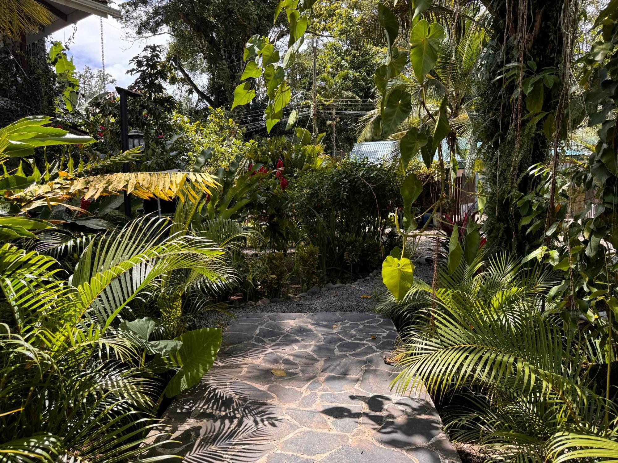 Chilamate Holiday House Puerto Viejo de Talamanca ภายนอก รูปภาพ