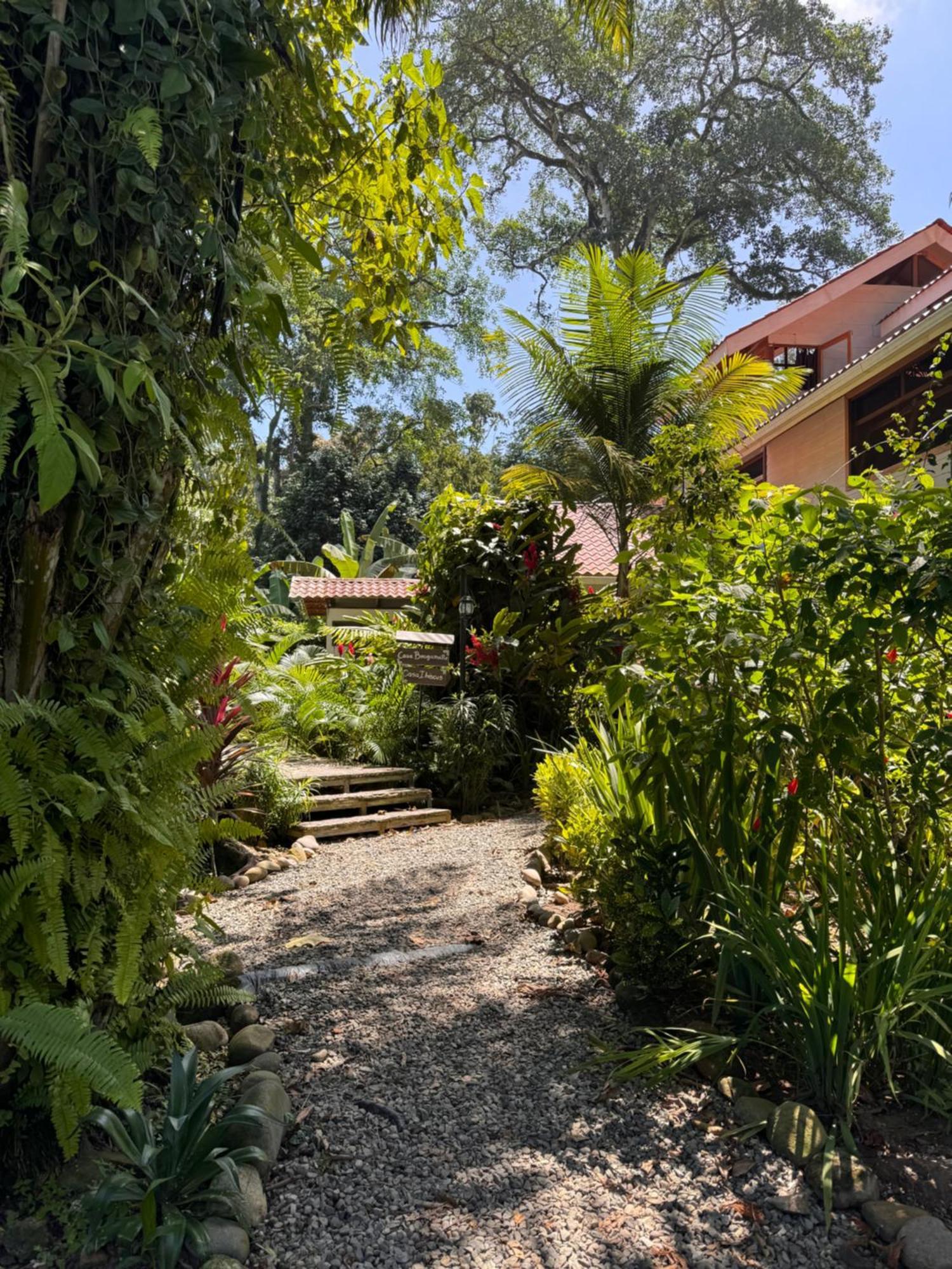 Chilamate Holiday House Puerto Viejo de Talamanca ภายนอก รูปภาพ